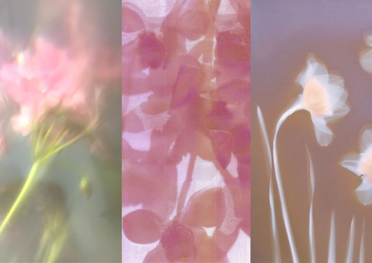 New Spring Ring Drop is Out