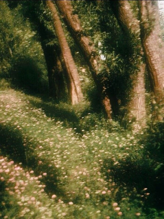 Chunky Dark Green Silver Dome Ring