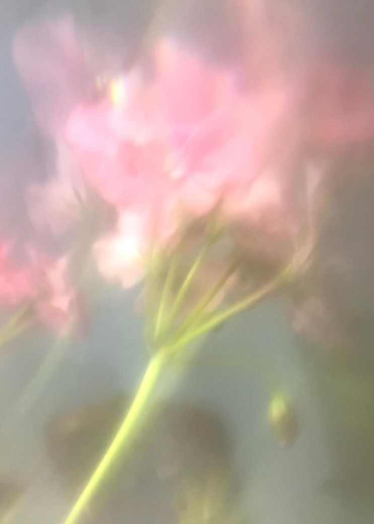 Sapphire and Marquise Ruby Signet Silver Ring