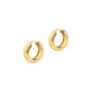 Chunky Hoop Earrings