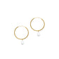 Mid-Size Hoop Pearl Earrings